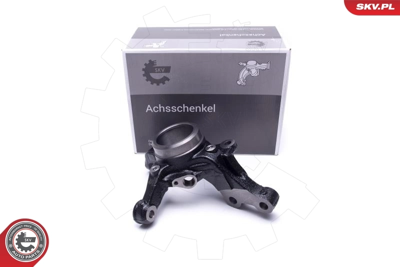 Steering Knuckle, wheel suspension